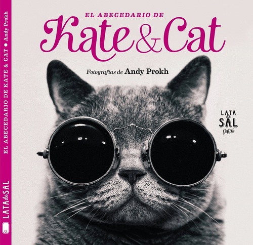 Portada de EL ABECEDARIODE KATE & CAT