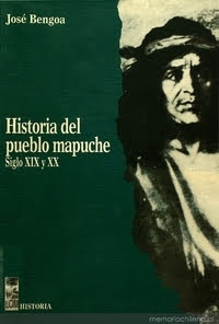 Portada del libro HISTORIA DEL PUEBLO MAPUCHE. SIGLOS XIX Y XX