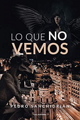 Portada del libro LO QUE NO VEMOS