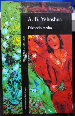 Portada del libro DIVORCIO TARDÍO