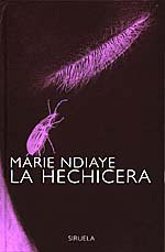 Portada de LA HECHICERA