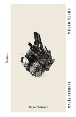 Portada del libro MUSEO NEGRO