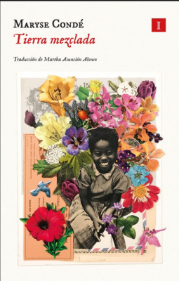 Portada de TIERRA MEZCLADA