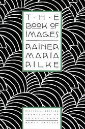 Portada de EL LIBRO DE LAS IMÁGENES