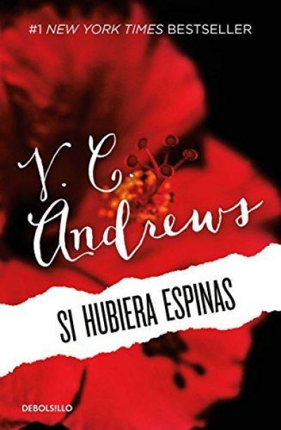 Portada de Y SI HUBIERA ESPINAS