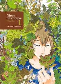 Portada del libro NIEVE EN VERANO