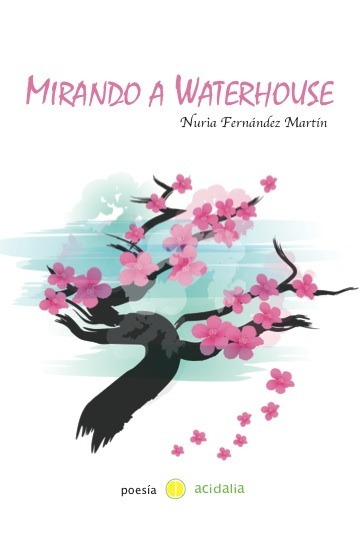 Portada de MIRANDO A WATERHOUSE