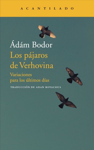 Portada de LOS PÁJAROS DE VERHOVINA