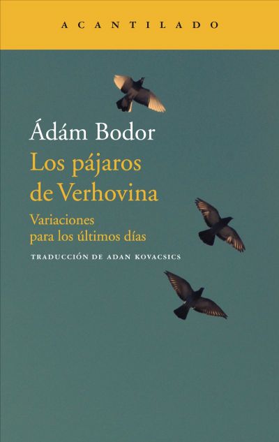 Portada del libro LOS PÁJAROS DE VERHOVINA