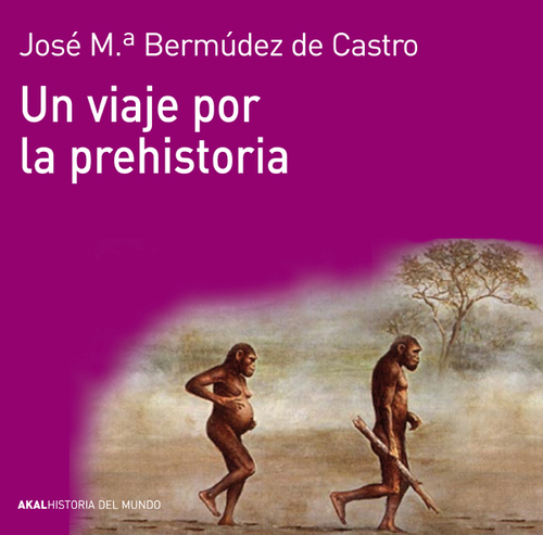 Portada de UN VIAJE POR LA PREHISTORIA