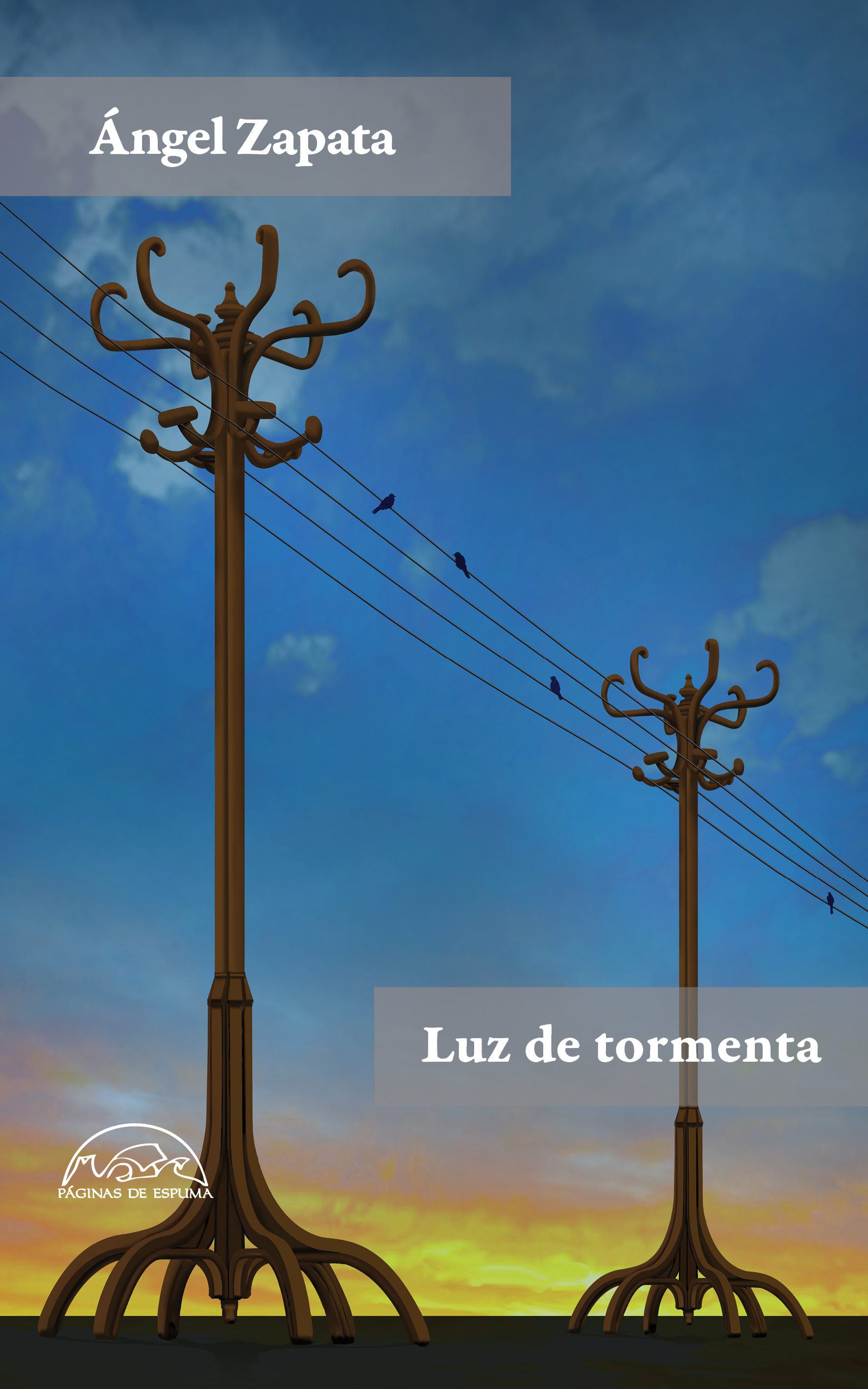 Portada del libro LUZ DE TORMENTA