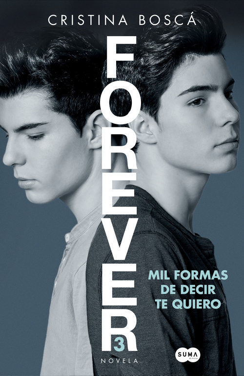 Portada de MIL FORMAS DE DECIR TE QUIERO. Forever 3
