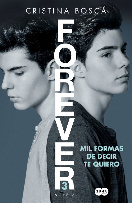 Portada de MIL FORMAS DE DECIR TE QUIERO. Forever 3