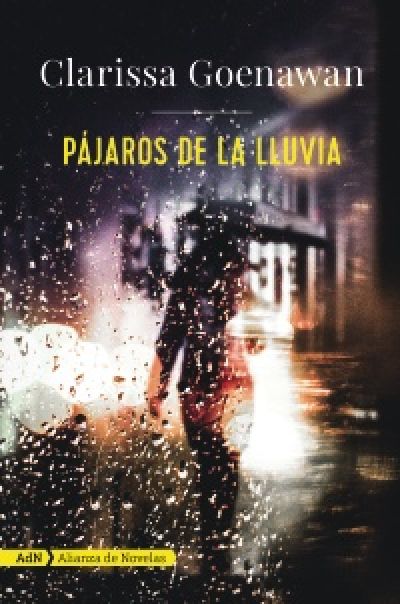 Portada de PÁJAROS DE LA LLUVIA