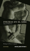 Portada del libro FISURAS EN EL AIRE