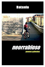 Portada de NEORRABIOSO