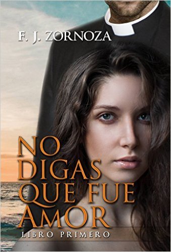 Portada del libro NO DIGAS QUE FUE AMOR