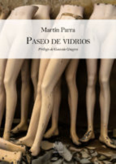 Portada del libro PASEO DE VIDRIOS