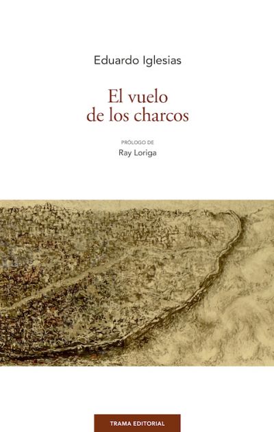 Portada del libro EL VUELO DE LOS CHARCOS