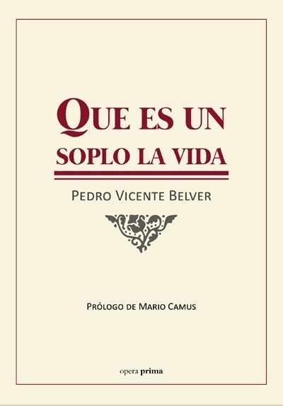 Portada del libro QUE ES UN SOPLO LA VIDA