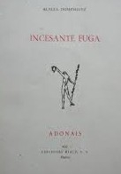 Portada de INCESANTE FUGA