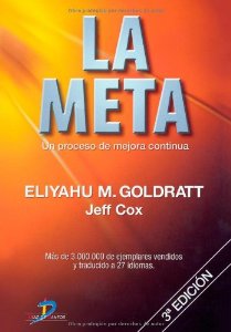 LA META: UN PROCESO DE MEJORA CONTINUA