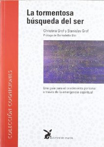 Portada de LA TORMENTOSA BÚSQUEDA DEL SER: UNA GUÍA PARA EL CRECIMIENTO PERSONAL A TRAVÉS DE LA EMERGENCIA ESPIRITUAL